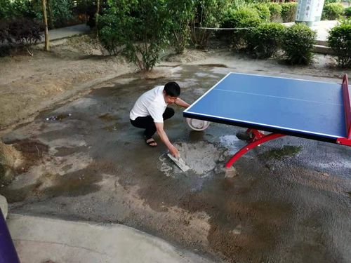 軍屯鎮開展黨史學習教育主題文明實踐志愿服務活動 為群眾提供教育咨詢服務