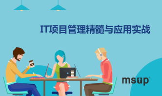 msup 軟件研發管理培訓與咨詢服務 賦能團隊，驅動卓越